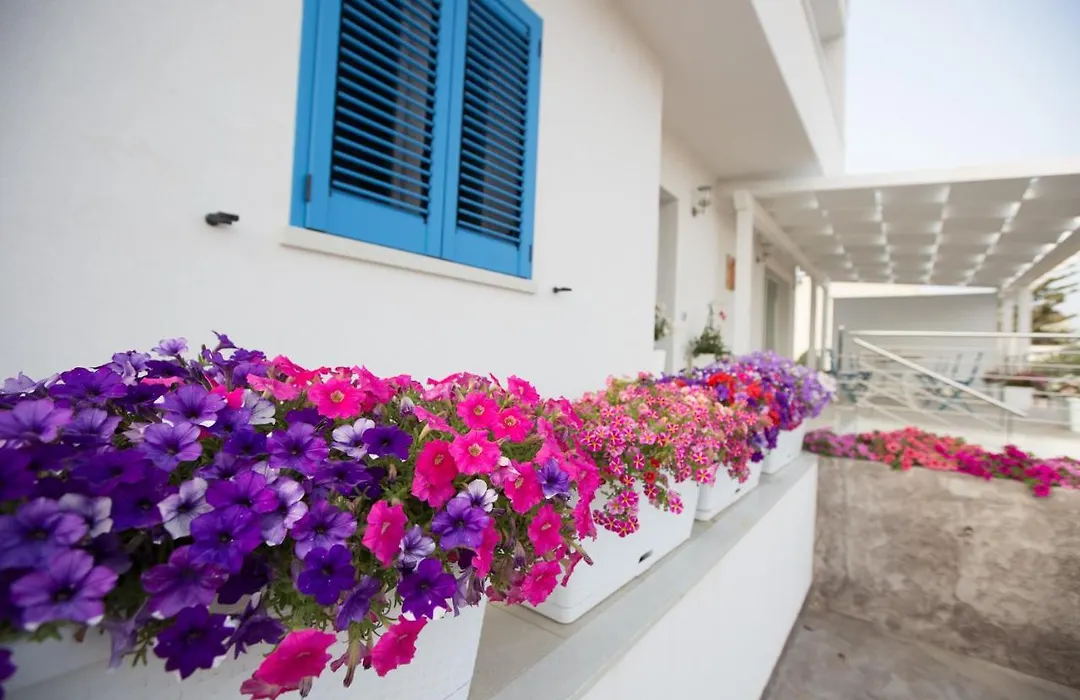 B&B Villa Patrizia Selinunte-1